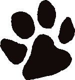 GET UNLEASHED PAWTIQUE & TEES 