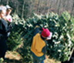 WATAUGA COUNTY
CHRISTMAS TREE
ASSOCIATION.