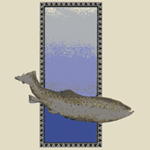 SPECKLED TROUT