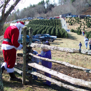 Choose & Cut: Starting the weekend after Thanksgiving, local Christmas tree farms will help you find the perfect tree among the many rows. Varieties include Frasier Fir, White Pine and Blue Spruce, with wreaths and garlands also available. 