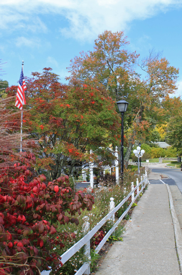Early fall color in Blowing Rock 2015