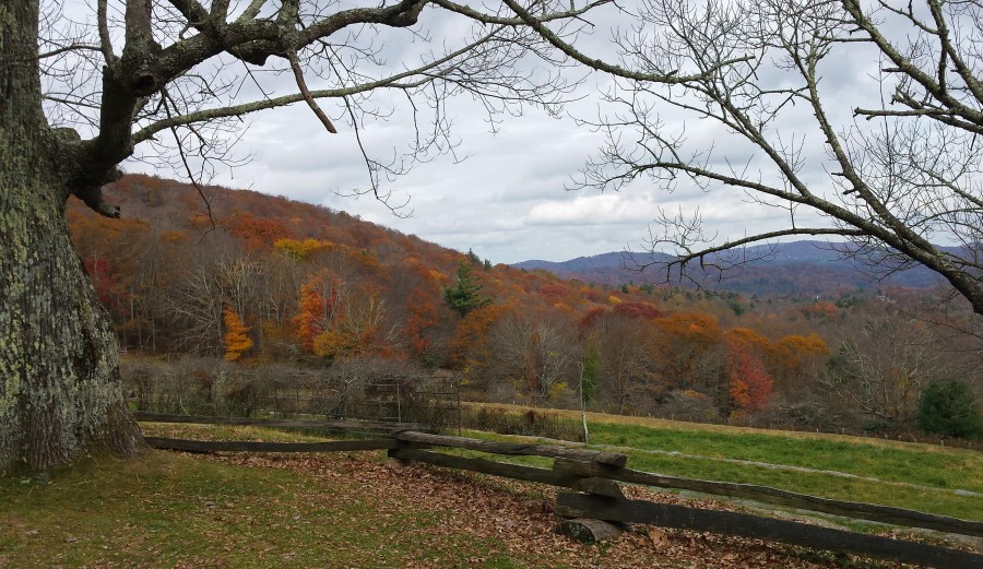 fall view from Cone Estate