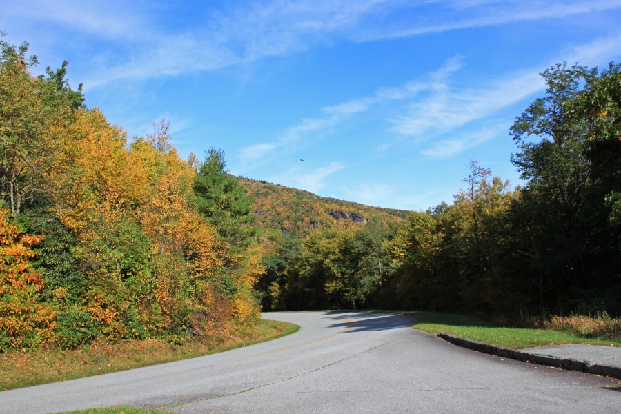 Fall color on the Blue Ridge Parkway near Blowing ROck NC