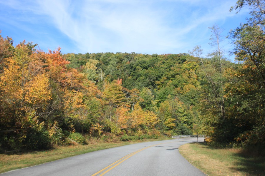 Fall color on the Blue Ridge Parkway 2015
