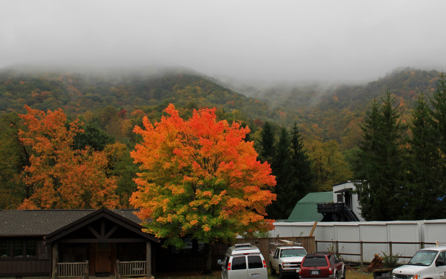 Vibrant fall color near Seven Devils, NC