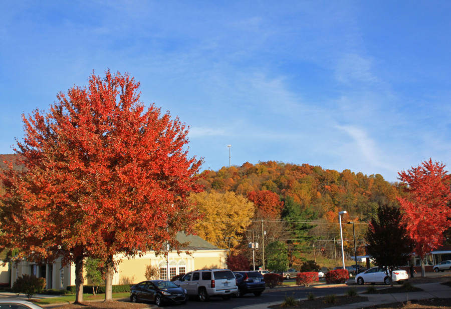 Fall color in West Jefferson