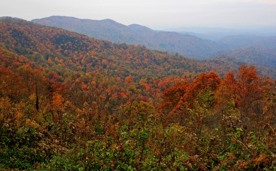 Fall Color from Grandview Overlook on the Blue Ridge Parkway
