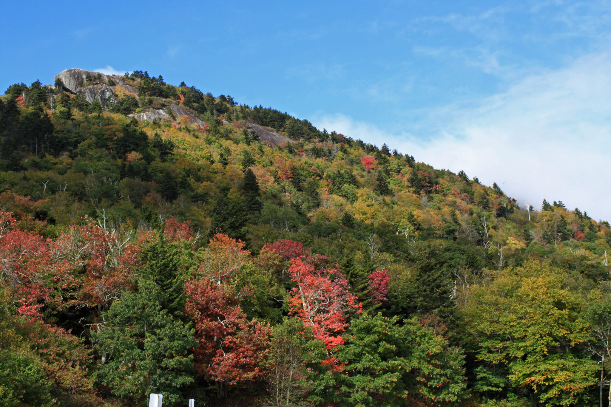 early fall foliage on Grandfather Mountain