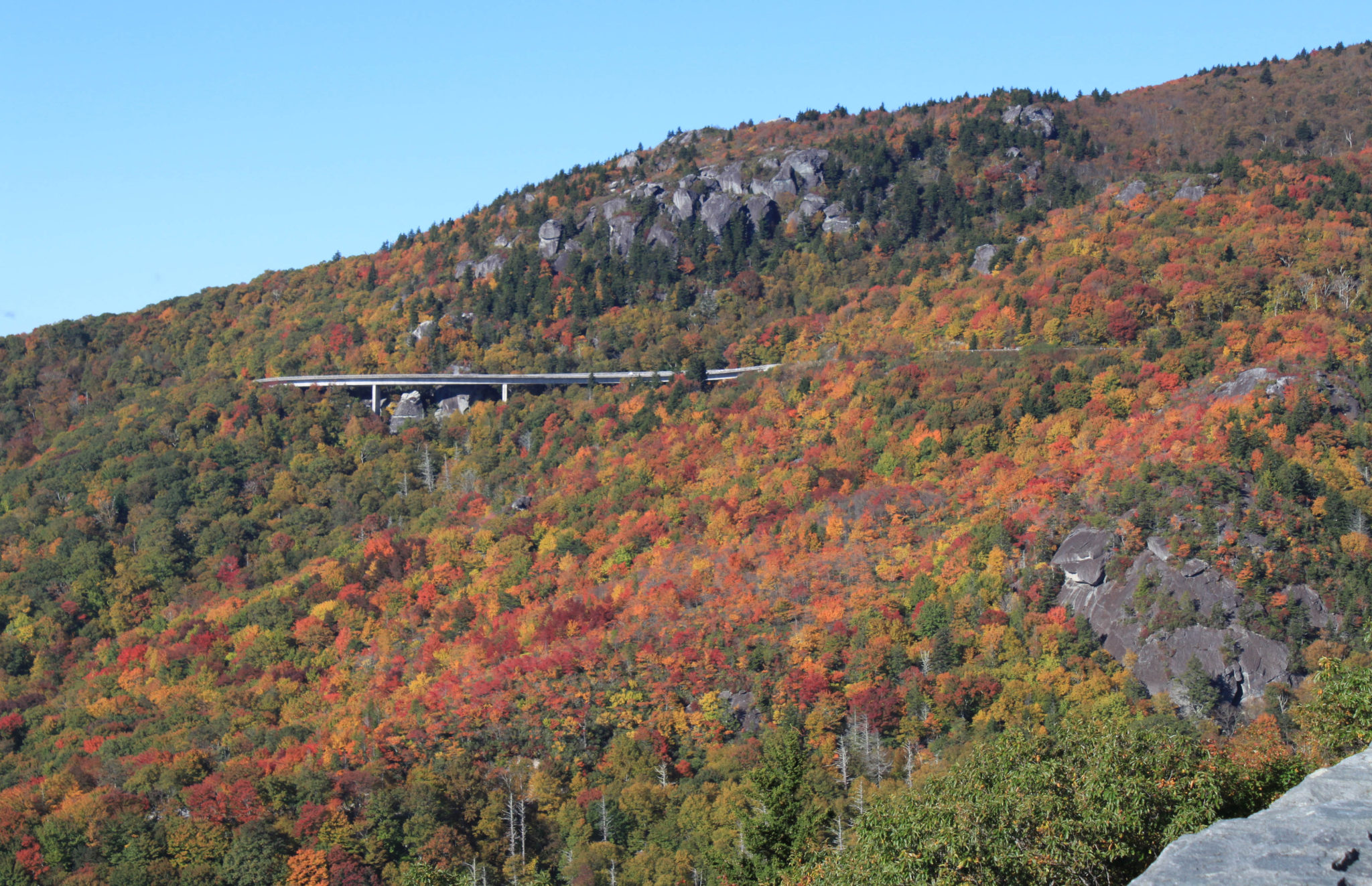 fall color at the linn cove viaduct on the blue ridge parkway