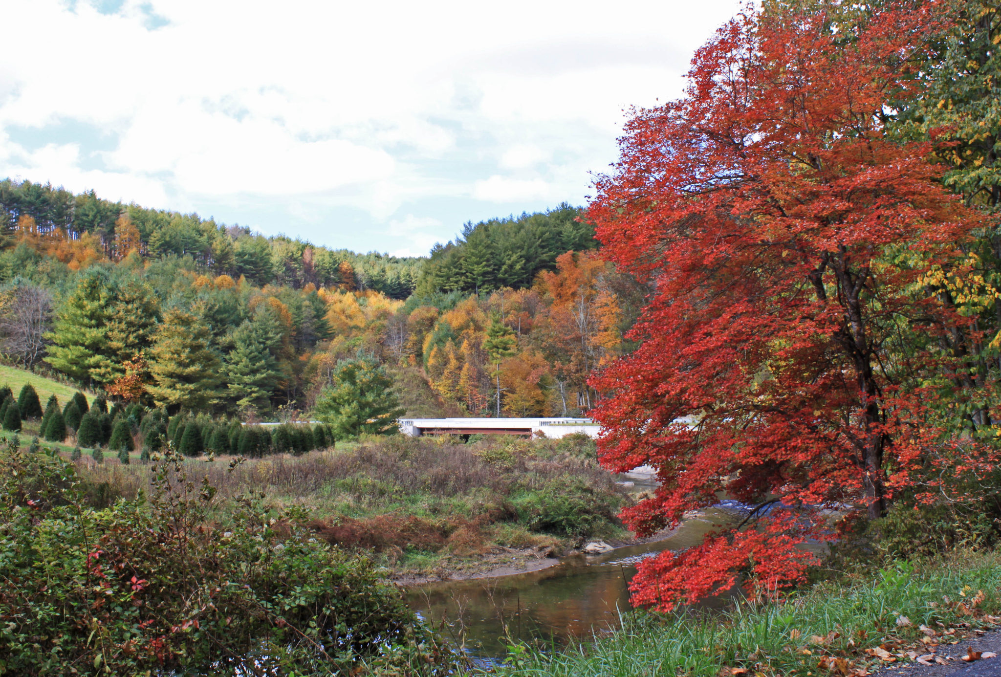 Fall color at New River