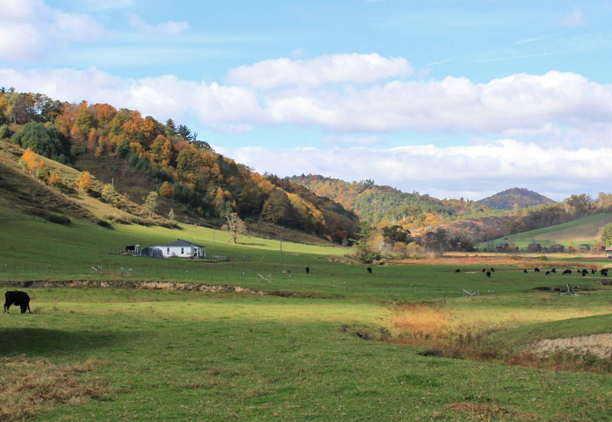fall highland pasture view