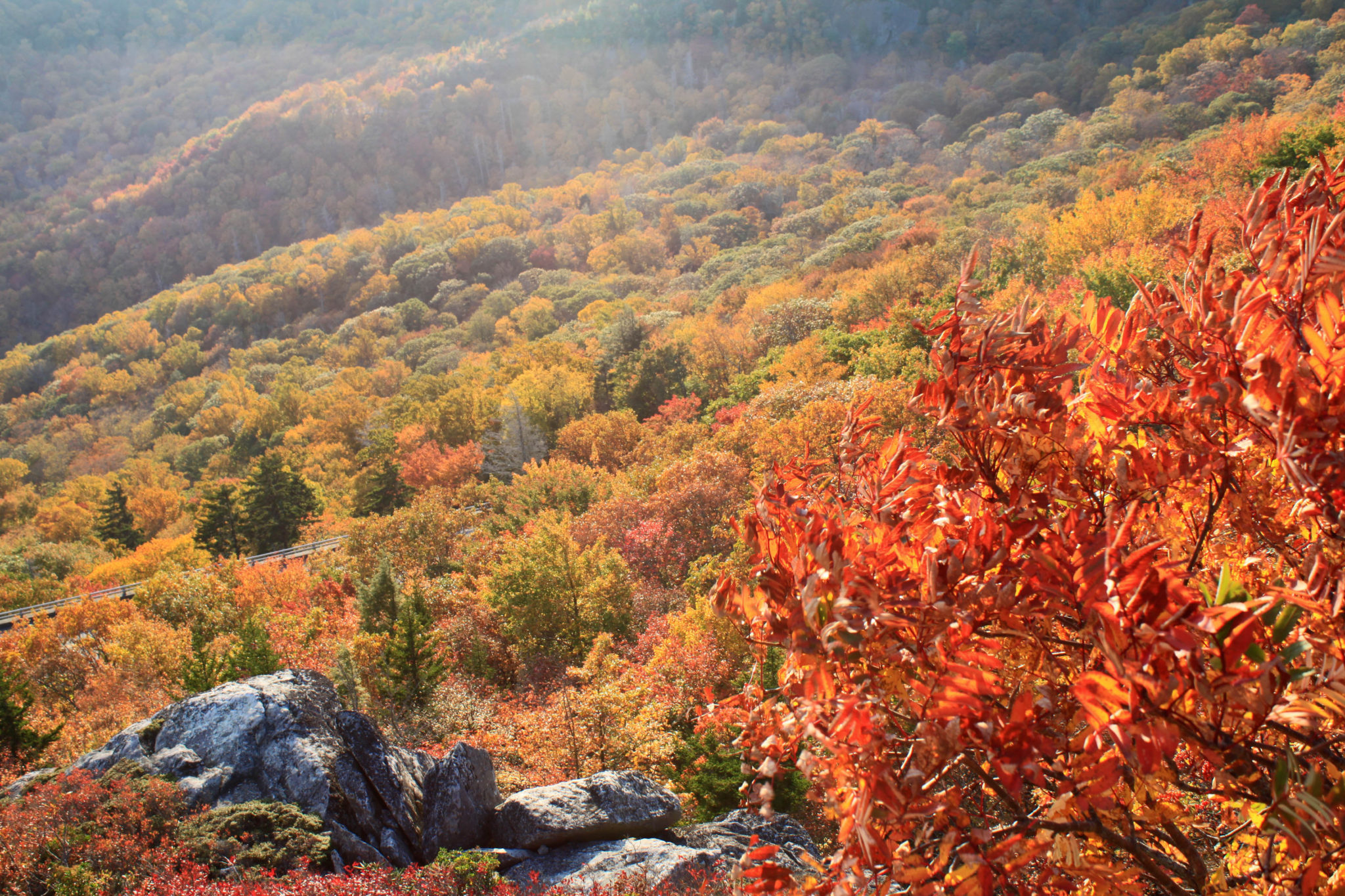 fall color at rough ridge near blowing rock nc