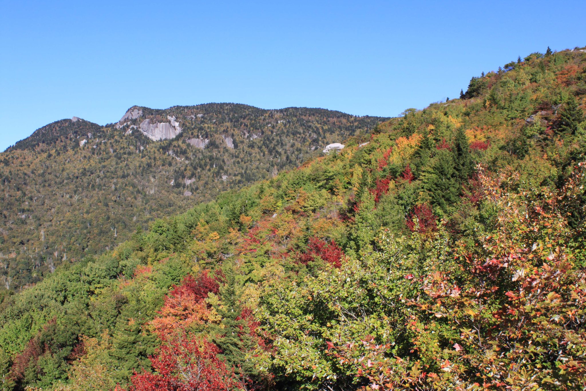 fall color at rough ridge