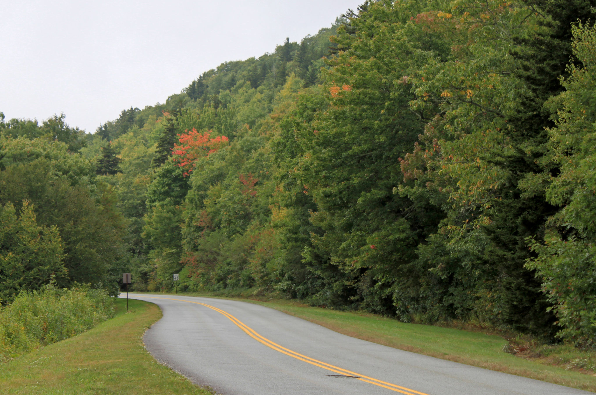 early fall foliage color on Blue Ridge Parkway